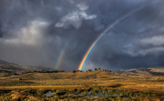 Yellowstone National Park