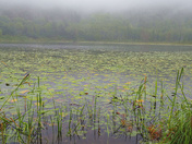 Acadia National Park
