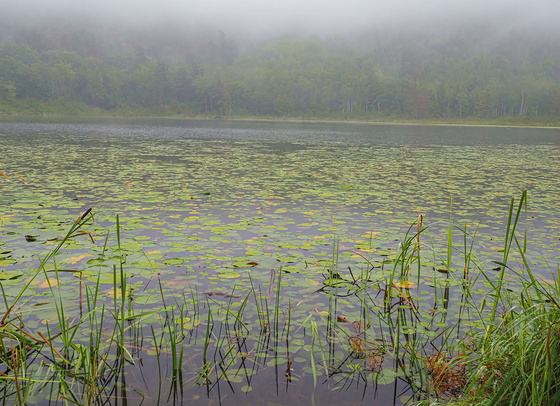 Acadia National Park