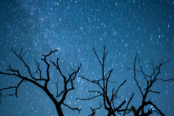 Shenandoah National Park