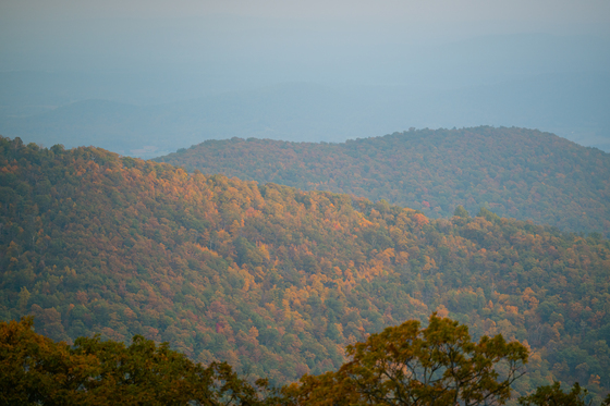 Shenandoah National Park