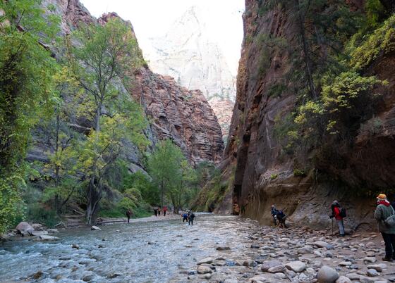 Zion National Park