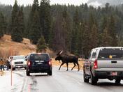 Yellowstone National Park