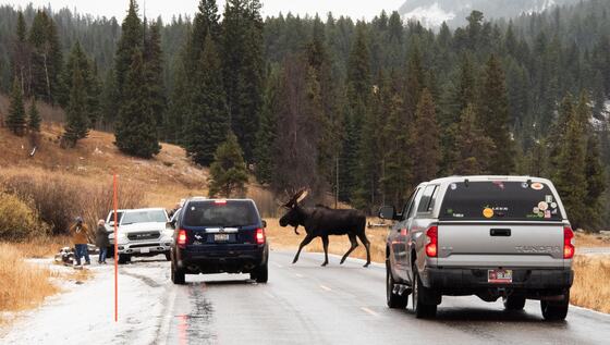 Yellowstone National Park