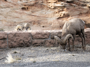 Colorado National Monument