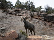 Colorado National Monument