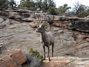 Colorado National Monument