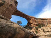 Natural Bridges National Monument