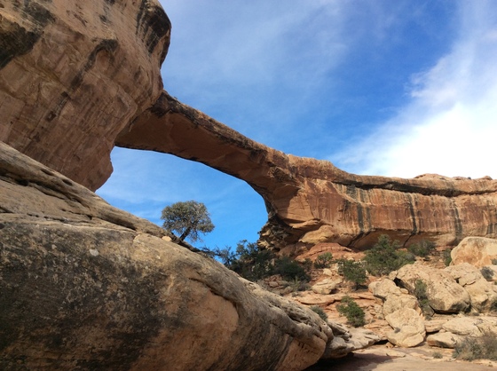 Natural Bridges National Monument