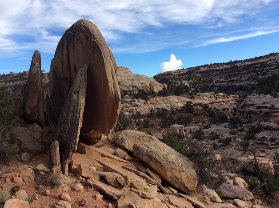 Natural Bridges National Monument