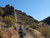Coronado National Forest 