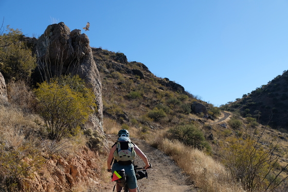 Coronado National Forest 