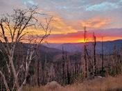 Yosemite National Park