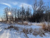 Frozen Marsh