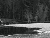 Yosemite National Park