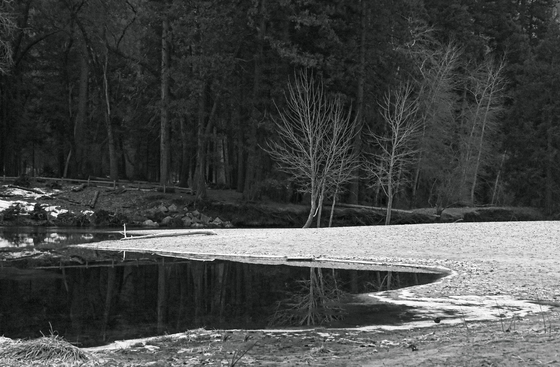 Yosemite National Park