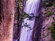 YOSEMITE NATIONAL PARK