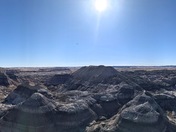 Petrified Forest National Park