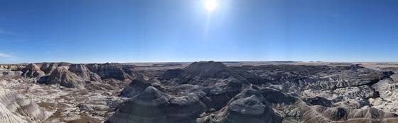Petrified Forest National Park