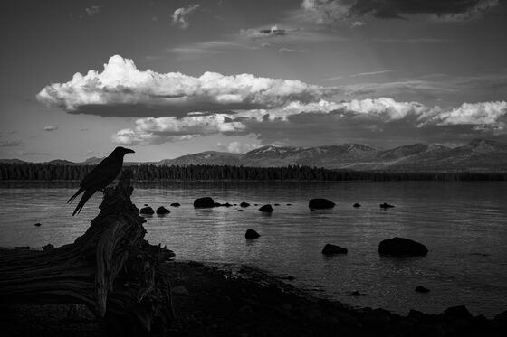 Yellowstone National Park