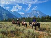 Grand Teton National Park 
