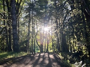 Olympic National Park