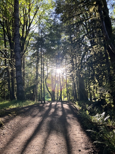 Olympic National Park
