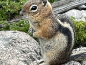 Rocky Mountain National Park