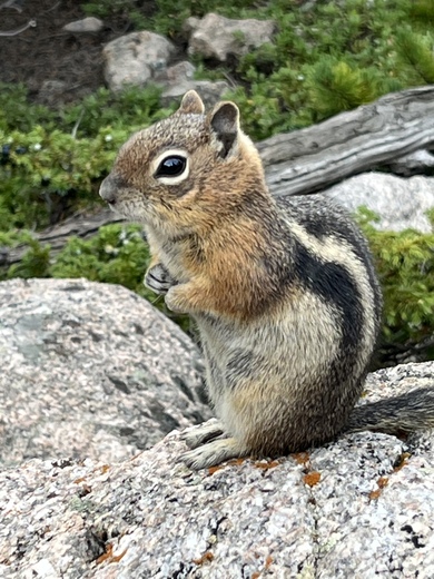 Rocky Mountain National Park