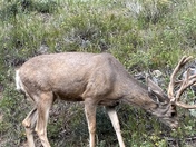 Rocky Mountain National Park 