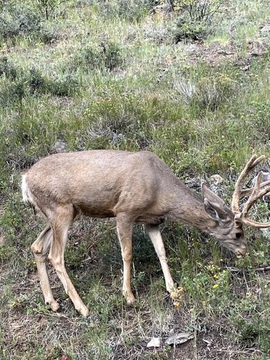 Rocky Mountain National Park 