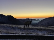 Rocky Mountain National Park
