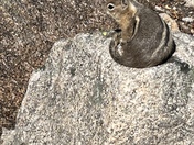 Rocky Mountain National Oark