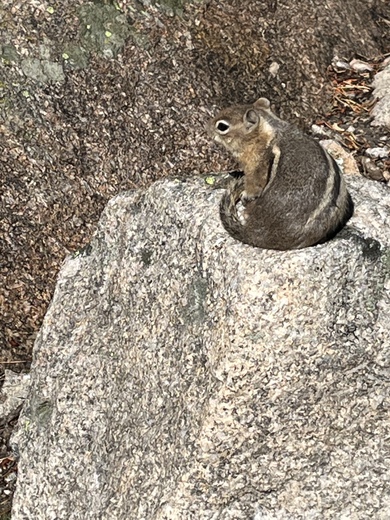 Rocky Mountain National Oark