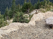 Rocky Mountain National Park