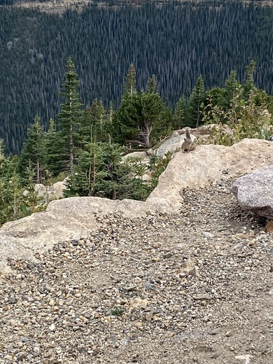 Rocky Mountain National Park