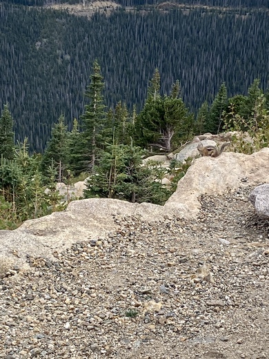 Rocky Mountain National Park