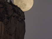 Yosemite National Park