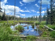 Glacier National Park 