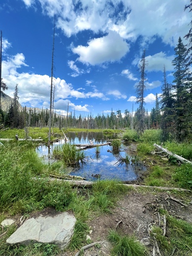 Glacier National Park 