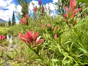 Glacier National Park 
