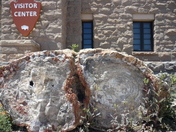 Petrified Forest