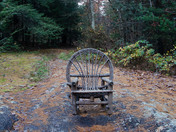 Carl Sandburg Home National Historic Site