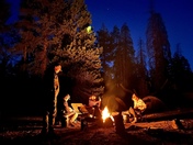 Yosemite National Park