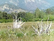 Rocky Mountain National Park