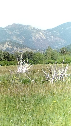Rocky Mountain National Park