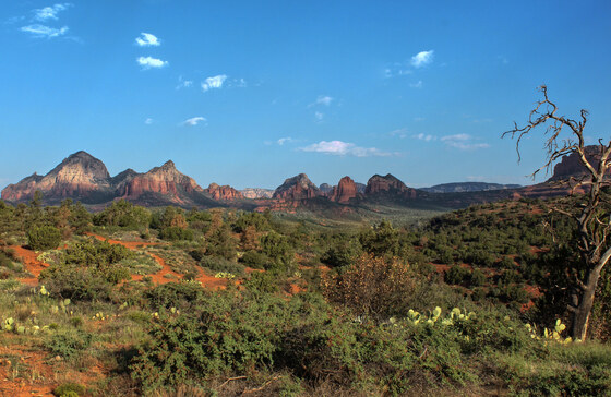 Coconino NF Sedona