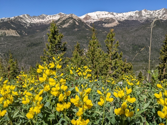 Rocky Mountain National Park
