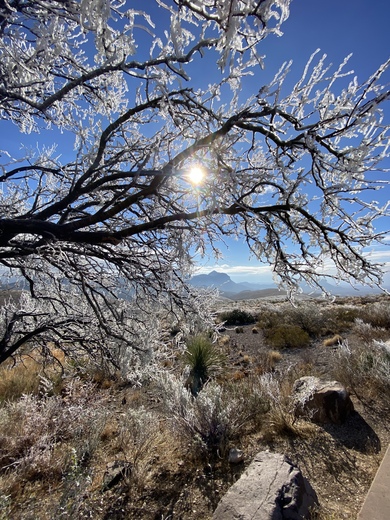 Big Bend National Park