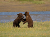 Lake Clark National Park and Preserve